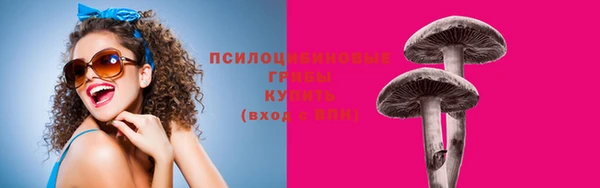 амф Абдулино