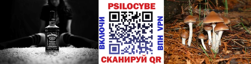 где найти наркотики Зарайск Псилоцибиновые грибы прущие грибы